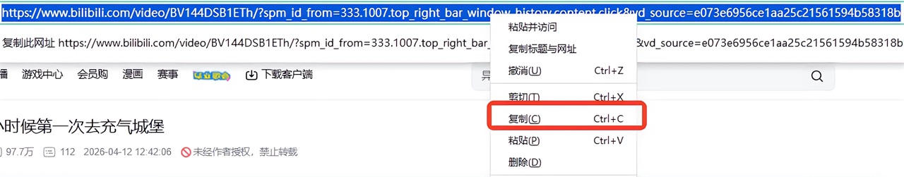 4K Downloader v6.3.8便携版-第2张图片-懂了软件园