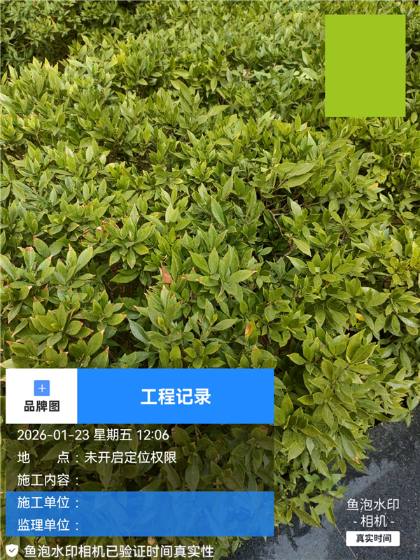 鱼泡水印相机App v3.9.0安卓版-第1张图片-懂了软件园 鱼泡水印相机App v3.9.0安卓版-第1张图片-懂了软件园